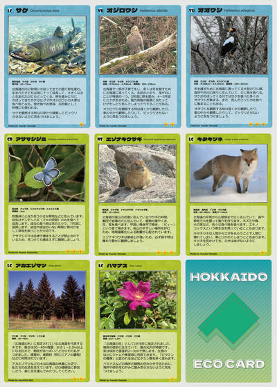 20260116_4.jpg 미리보기 이미지